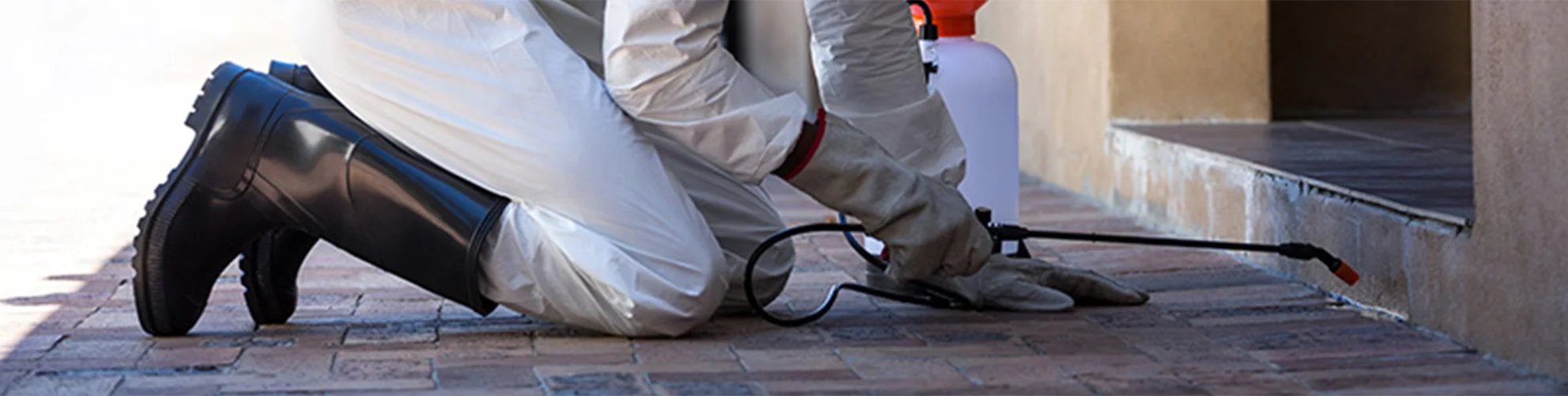 מדביר בנהריה לכל סוגי המזיקים